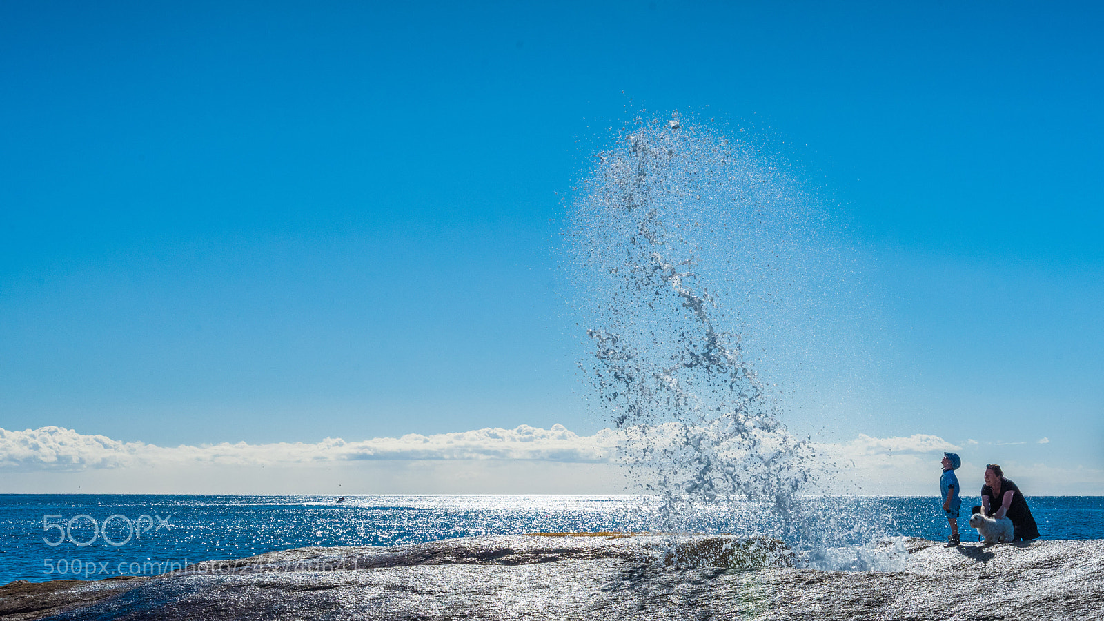 Nikon D810 sample photo. Untitled photography