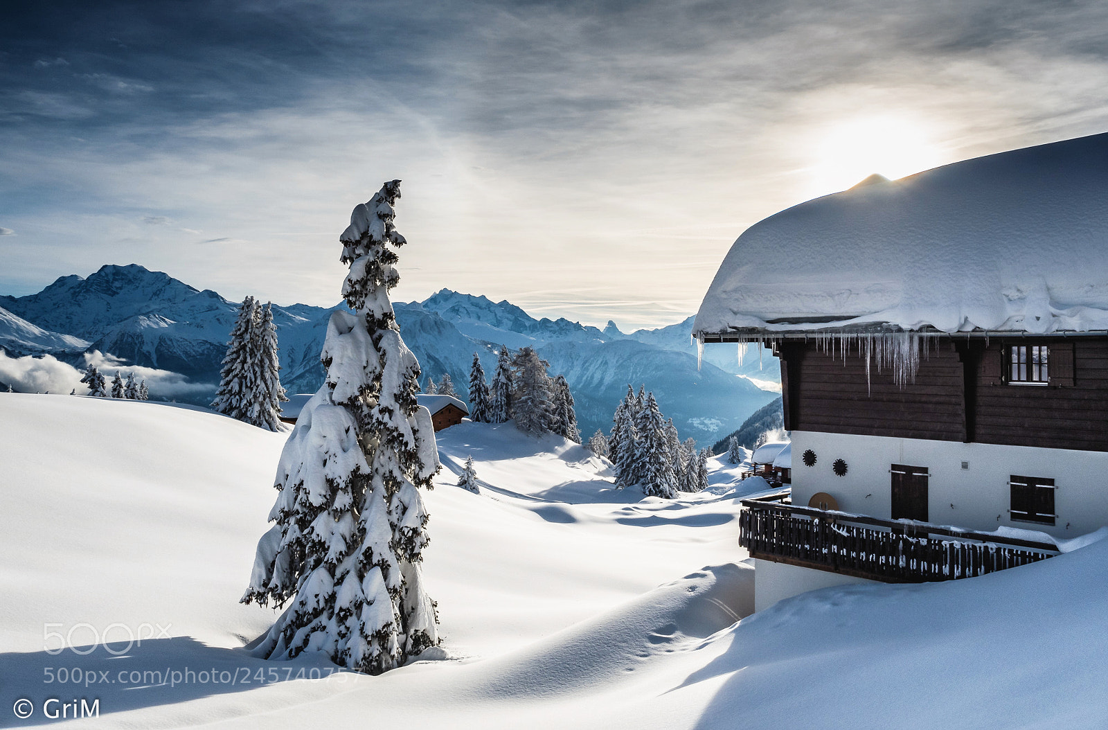 Olympus OM-D E-M5 II sample photo. Winter wonderland photography