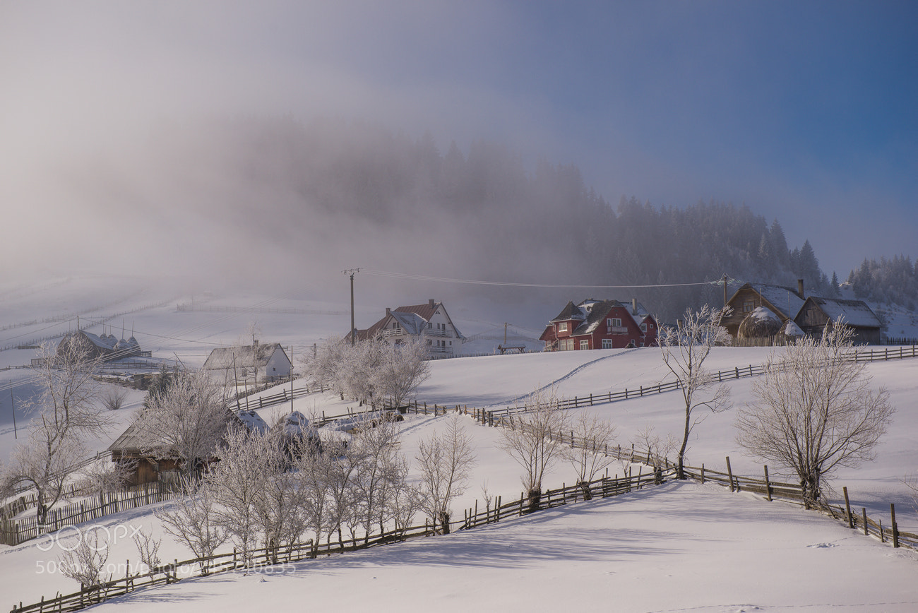 Nikon D610 sample photo. Winter vibes photography