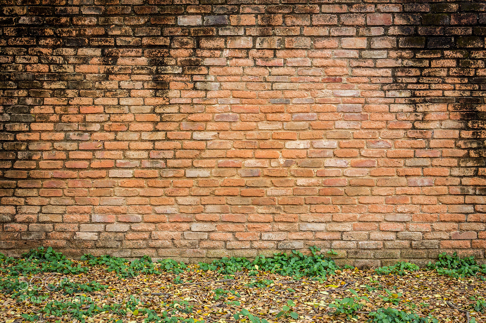 Canon EOS-1D Mark IV sample photo. Empty wall photography