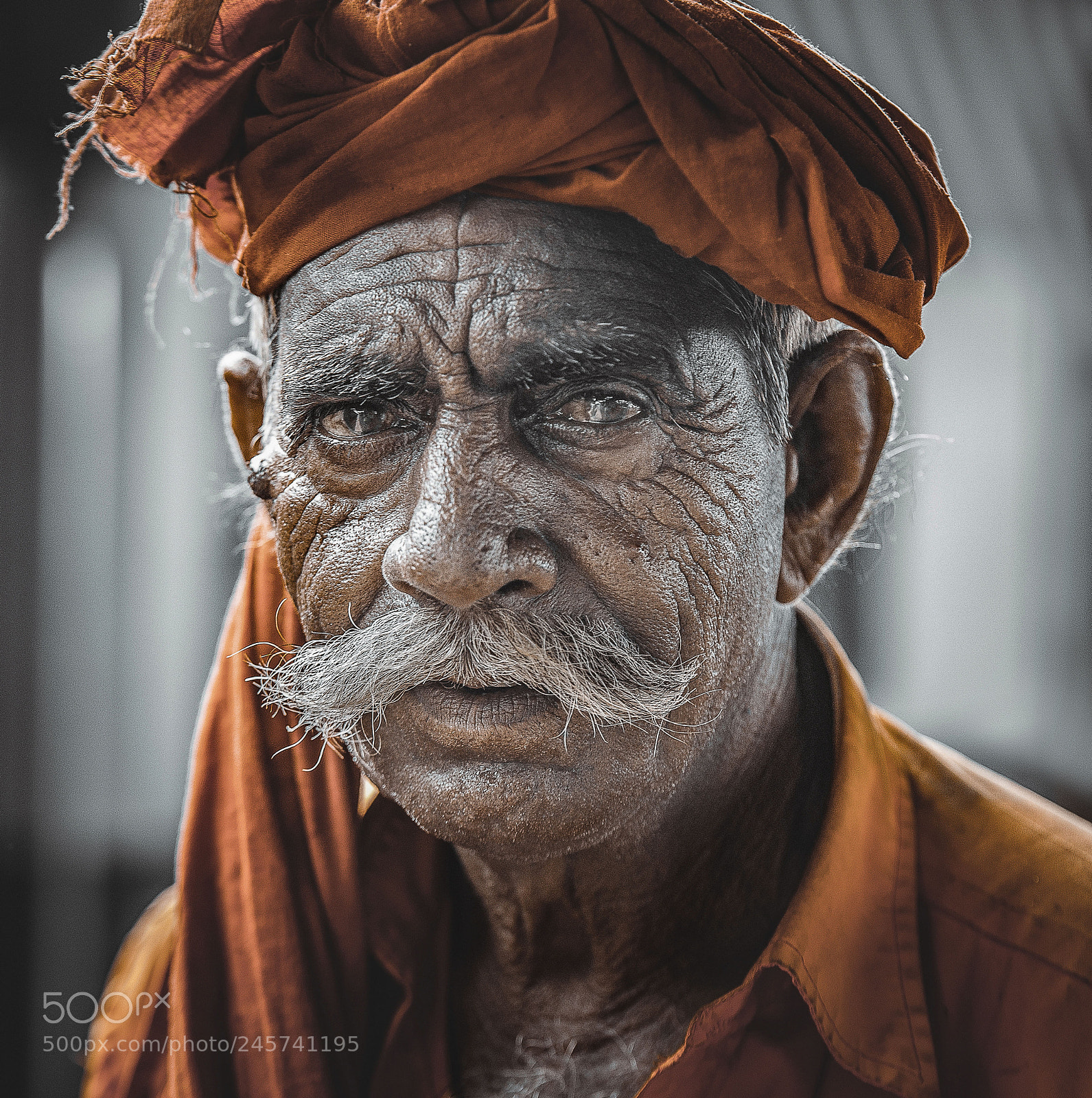 Nikon D610 sample photo. Orange photography