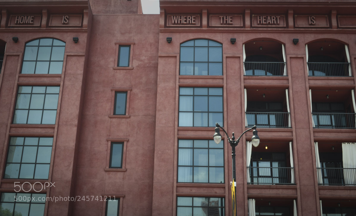 Nikon D3200 sample photo. Where the heart is photography