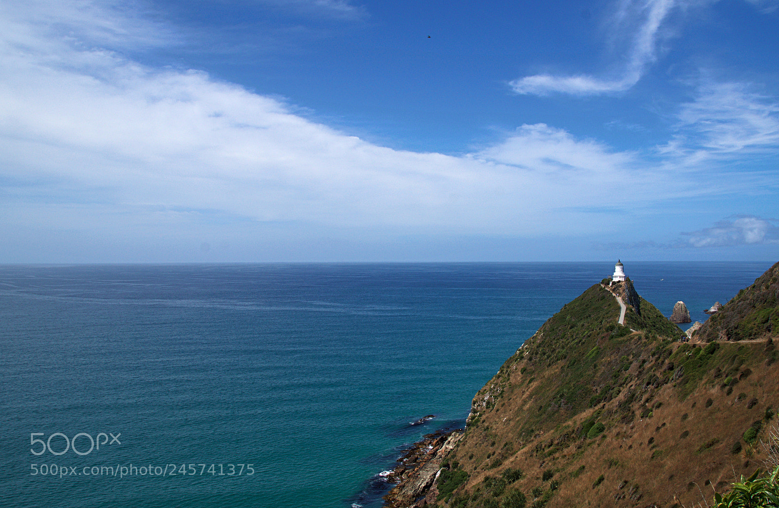 Sony SLT-A58 sample photo. Nugget point photography
