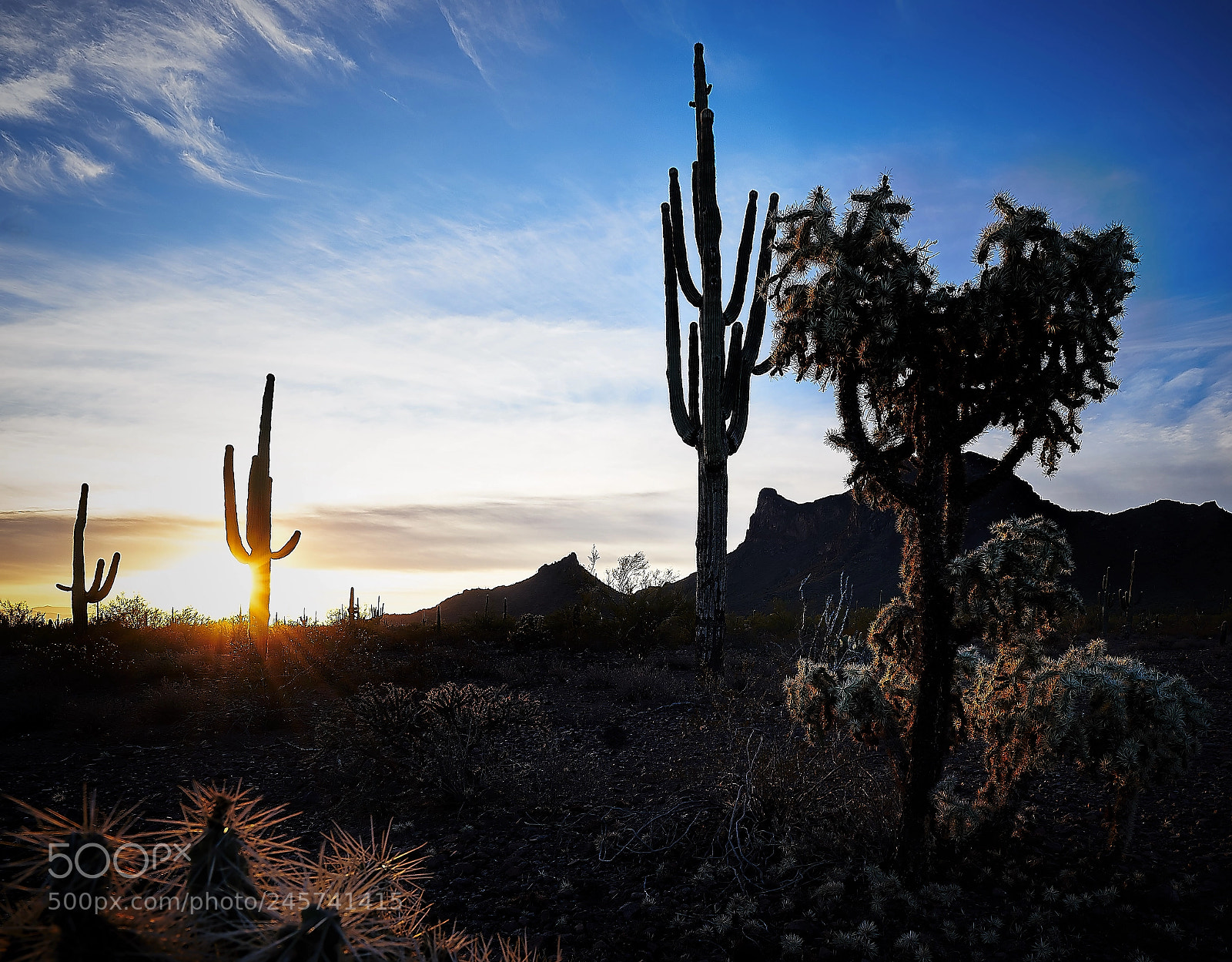 Sony a7R III sample photo. Picacho peak state park photography