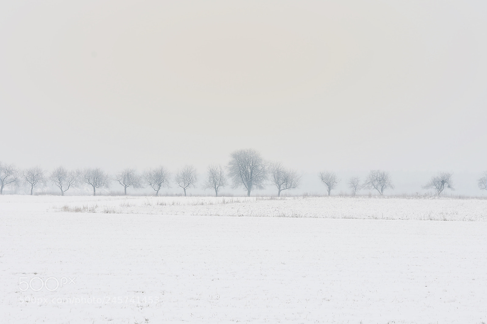 Nikon D7200 sample photo. Winter. photography
