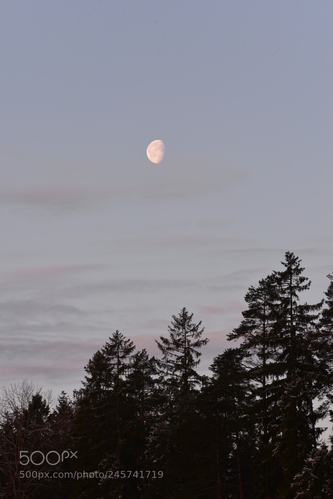 Nikon D610 sample photo. The moon is not photography