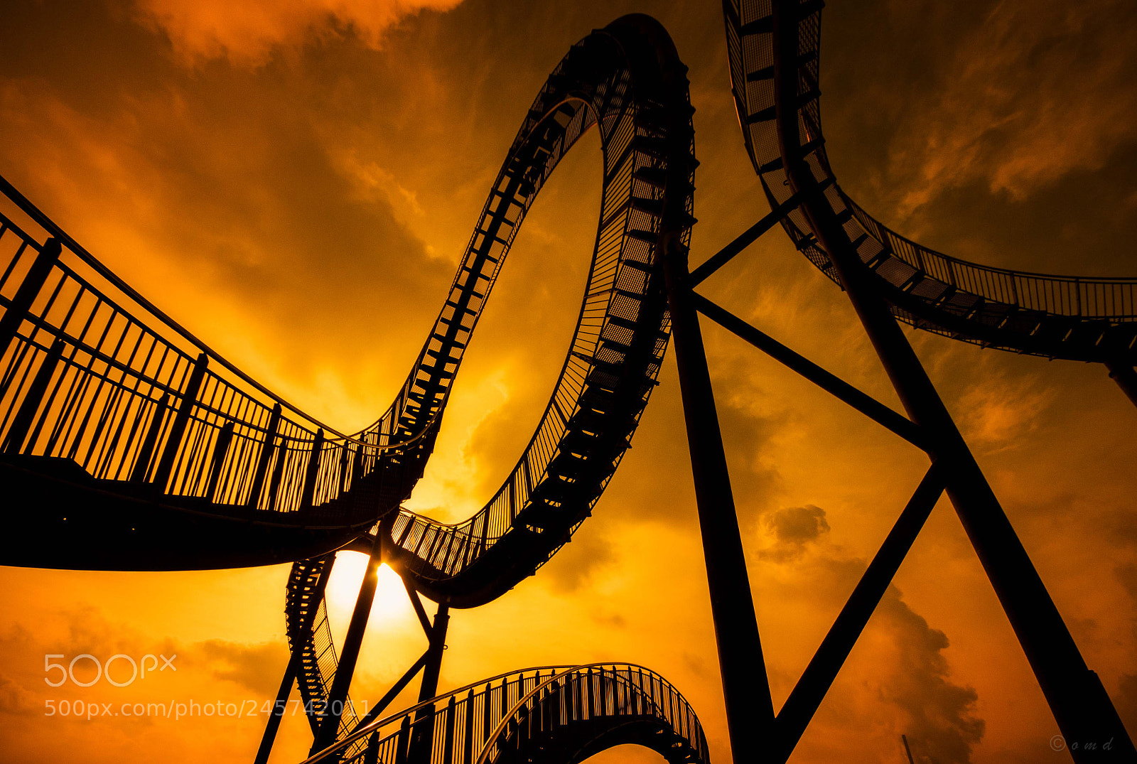Nikon D300 sample photo. Tiger&turtle photography