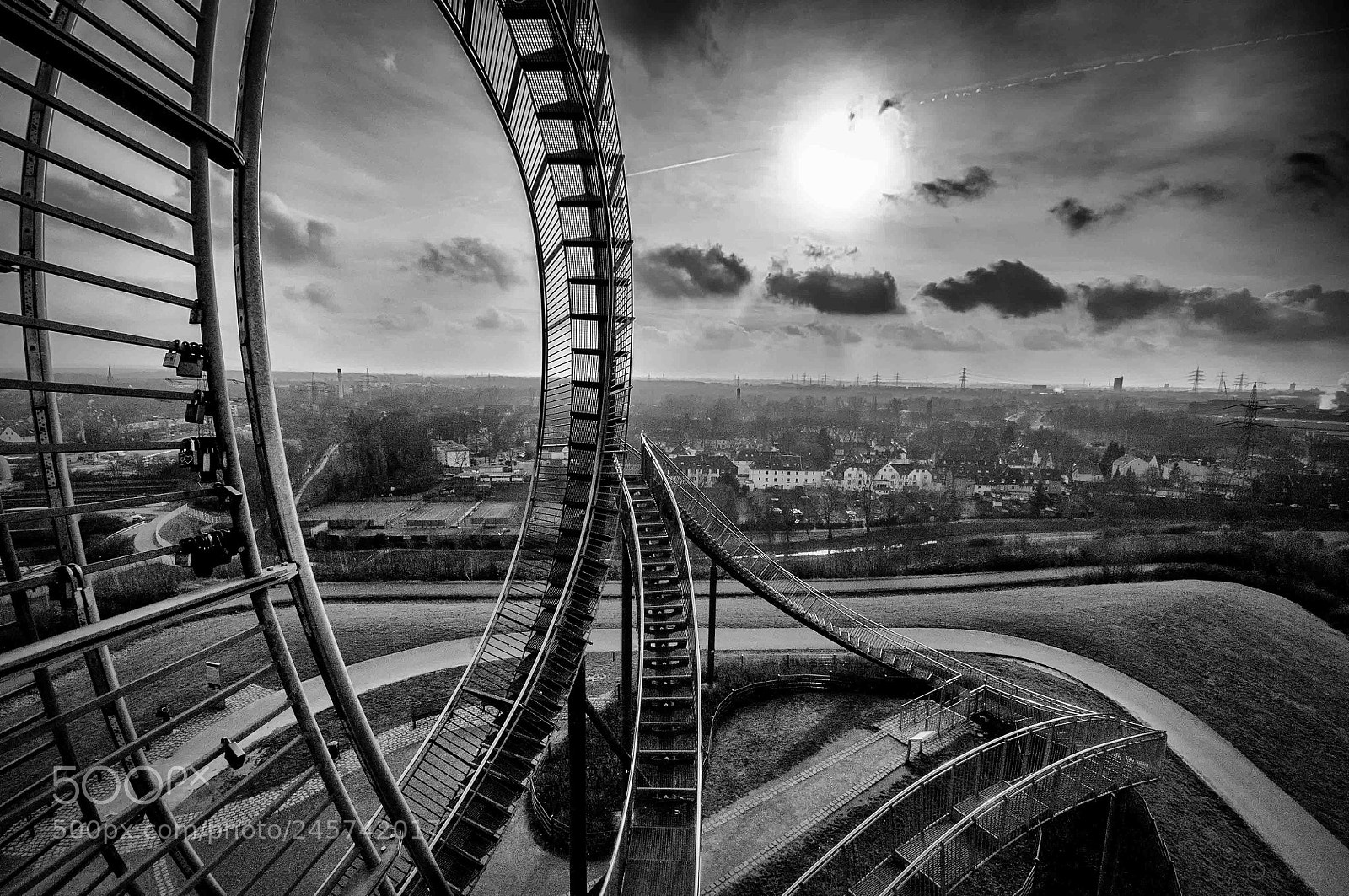 Nikon D300 sample photo. Tiger&turtle bw photography