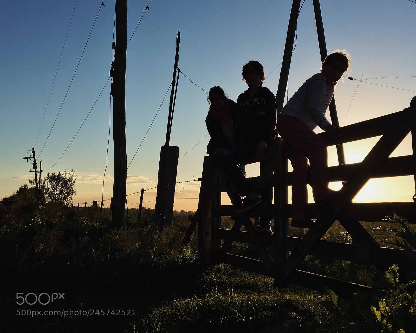 Apple iPhone 6s sample photo. Naturaleza y familia unida photography