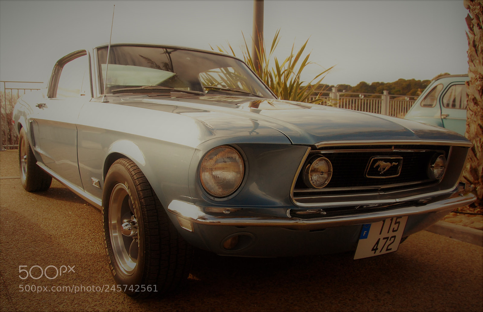 Nikon D60 sample photo. Ford mustang photography
