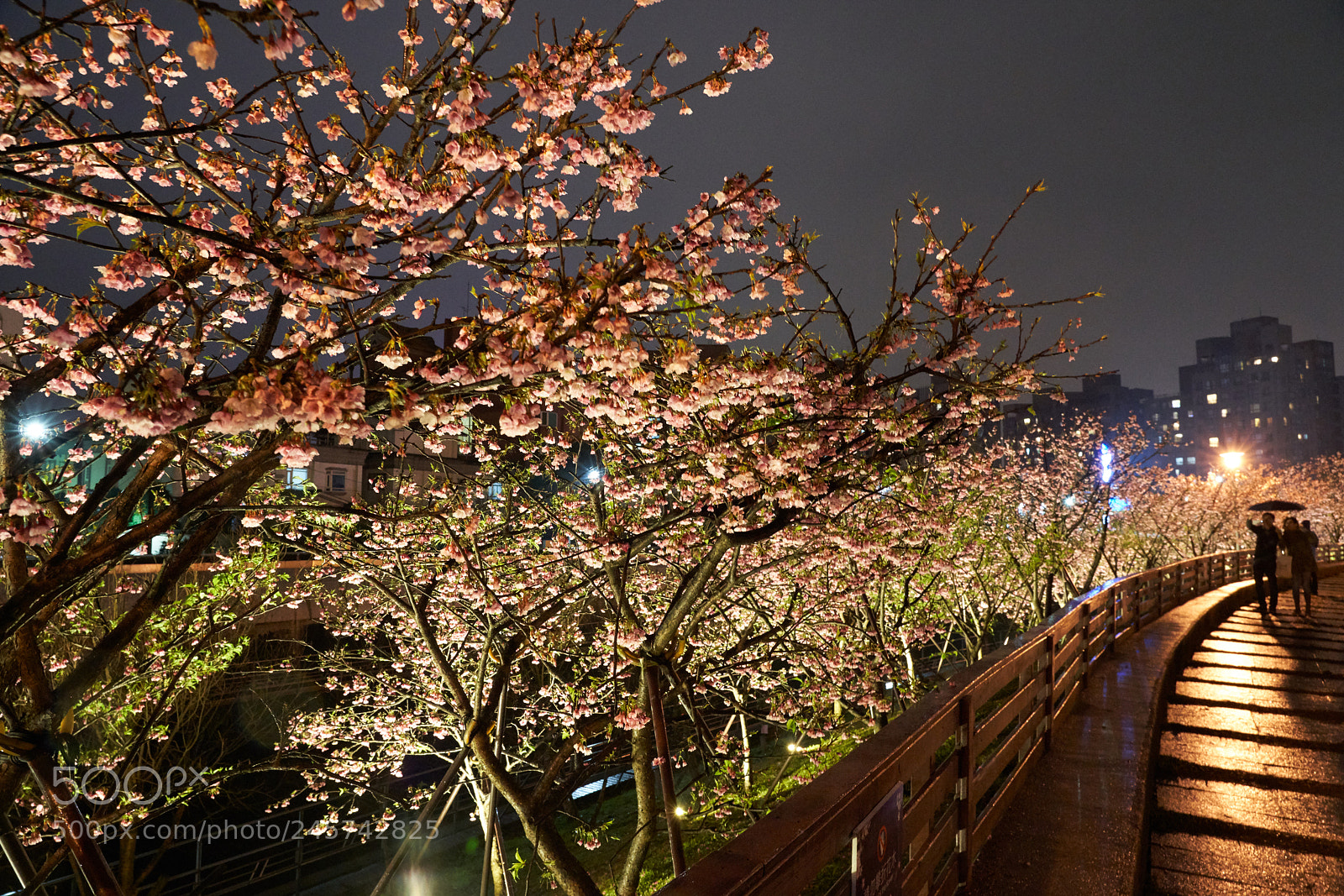 Sony a7R III sample photo. Dsc photography