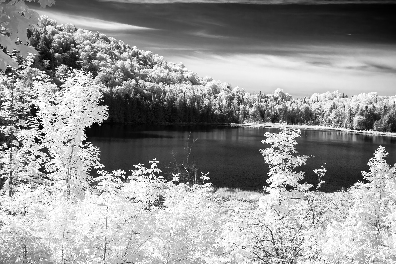 Canon EOS 400D (EOS Digital Rebel XTi / EOS Kiss Digital X) sample photo. Rood pondinfrared photography