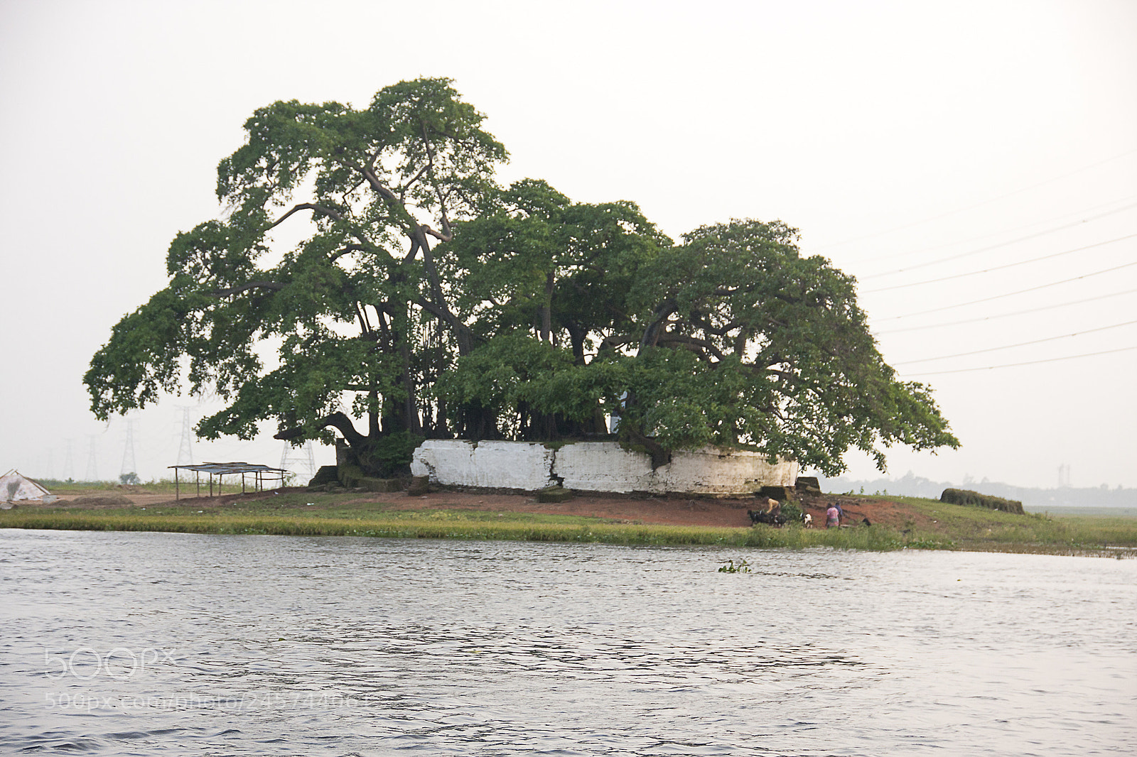 Canon EOS 40D sample photo. Our village photography