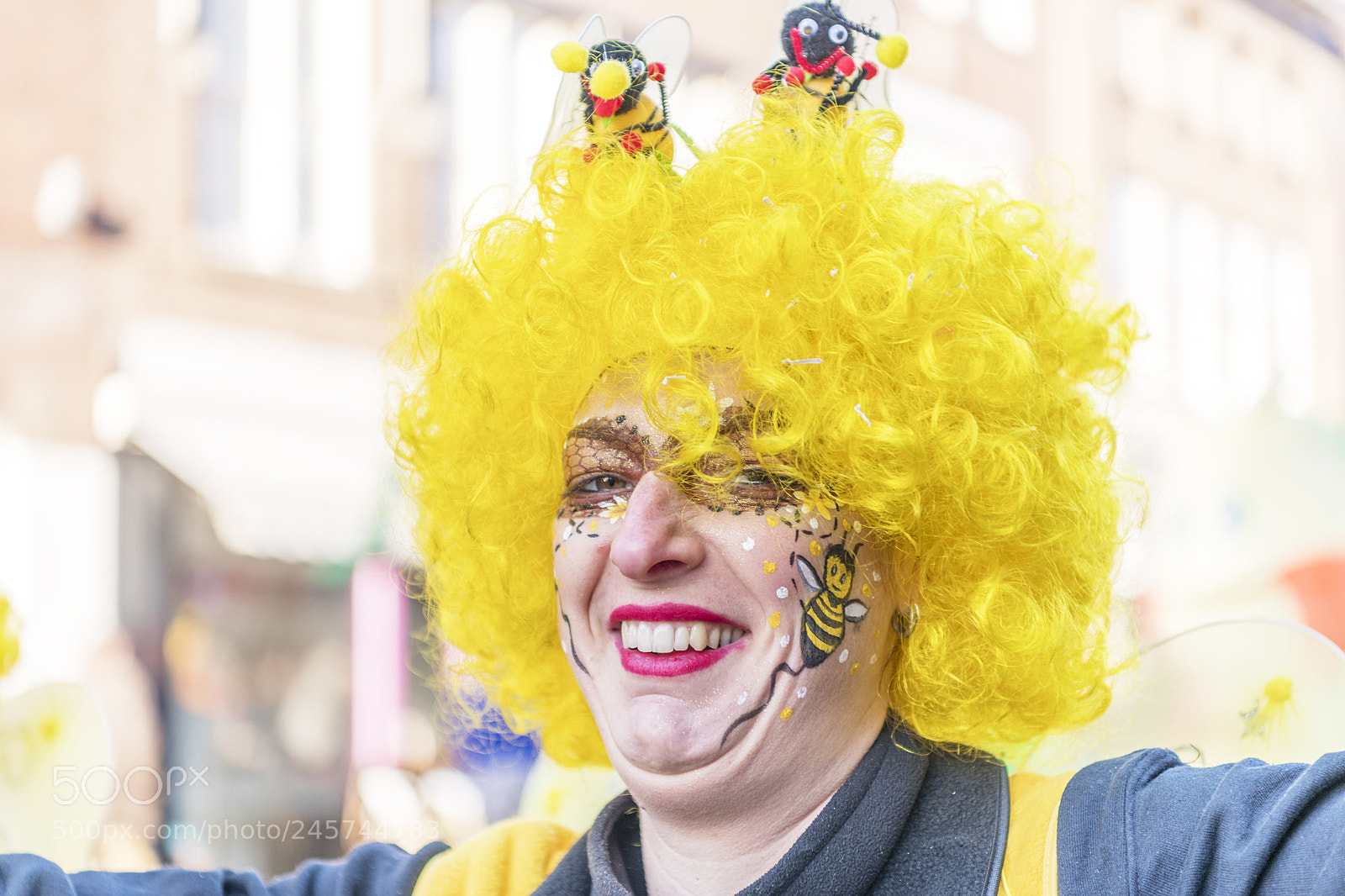 Nikon D850 sample photo. Carnaval at roosendaal 4 photography