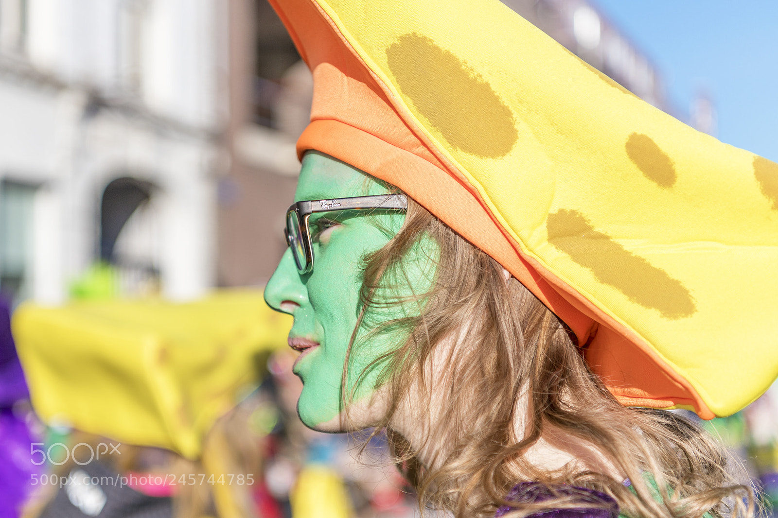 Nikon D850 sample photo. Carnaval at roosendaal 3 photography