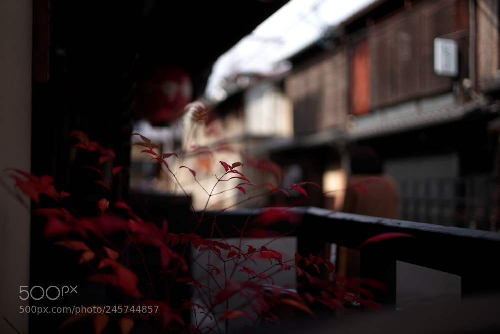 Leica M (Typ 240) sample photo. Gion photography
