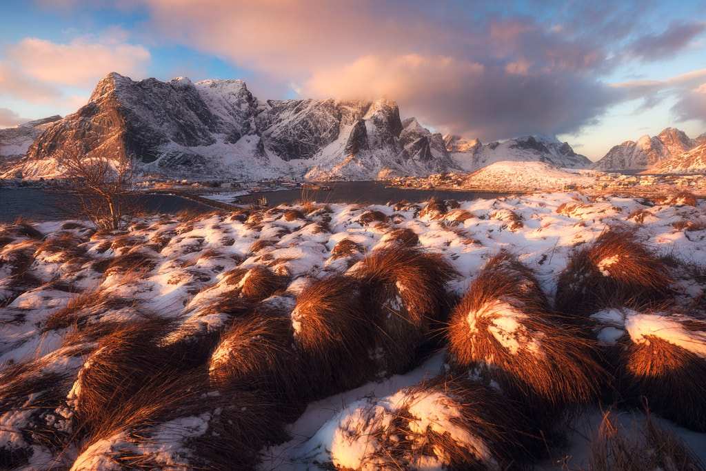 A Golden Winter Morning in Northern Norway, автор — Daniel Fleischhacker на 500px.com