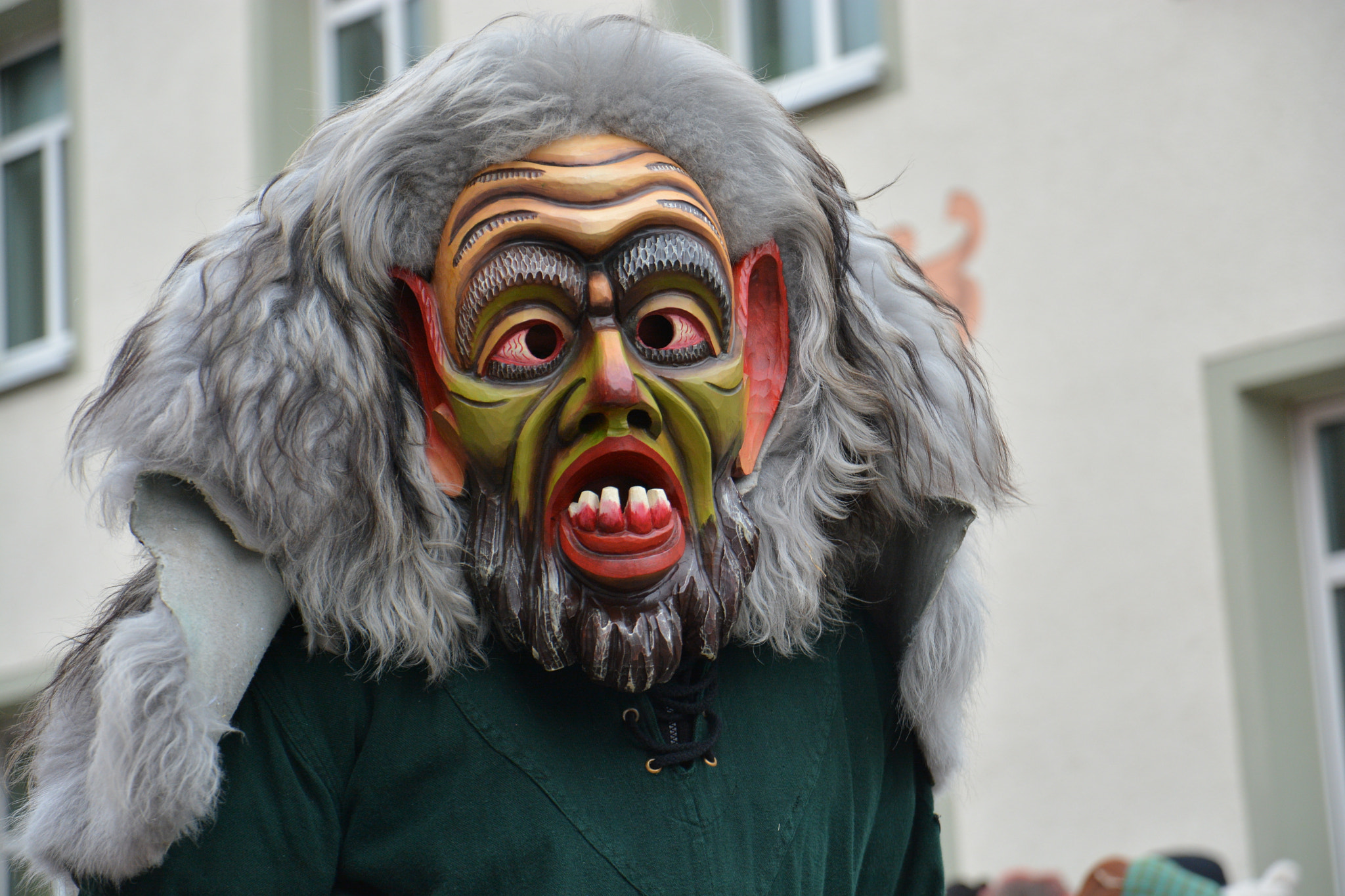 Sigma 17-70mm F2.8-4 DC Macro OS HSM | C sample photo. Fasnet: grosser umzug 1 photography