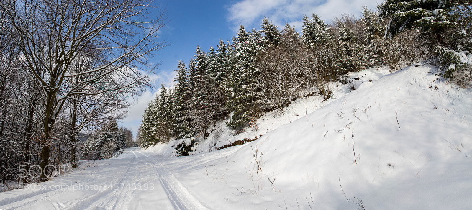 Canon EOS 700D (EOS Rebel T5i / EOS Kiss X7i) sample photo. Nature in slovakia photography