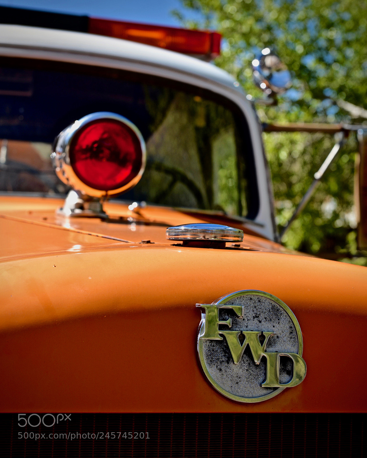 Nikon D610 sample photo. Best face forward photography