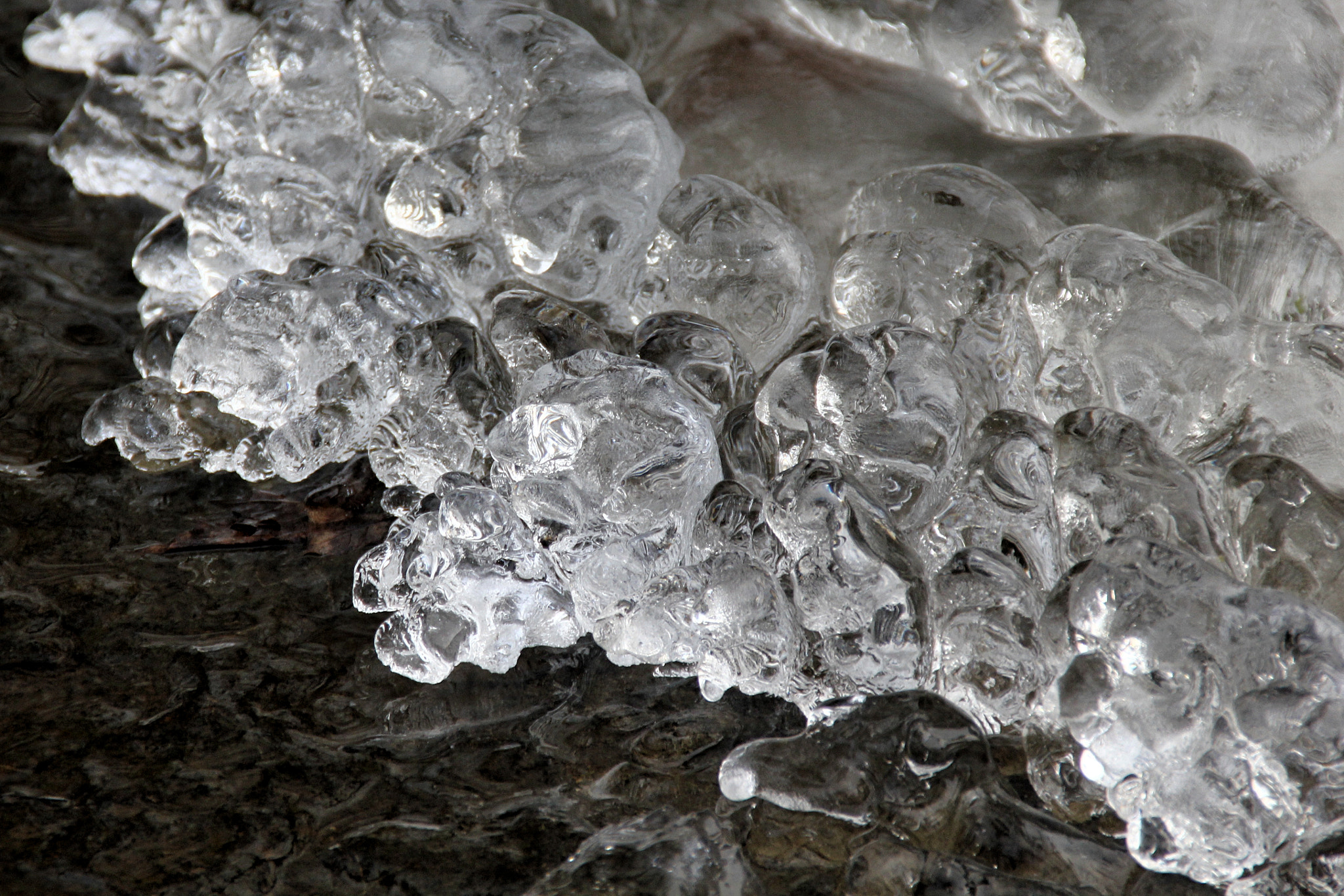 Canon EOS 550D (EOS Rebel T2i / EOS Kiss X4) sample photo. Ice photography