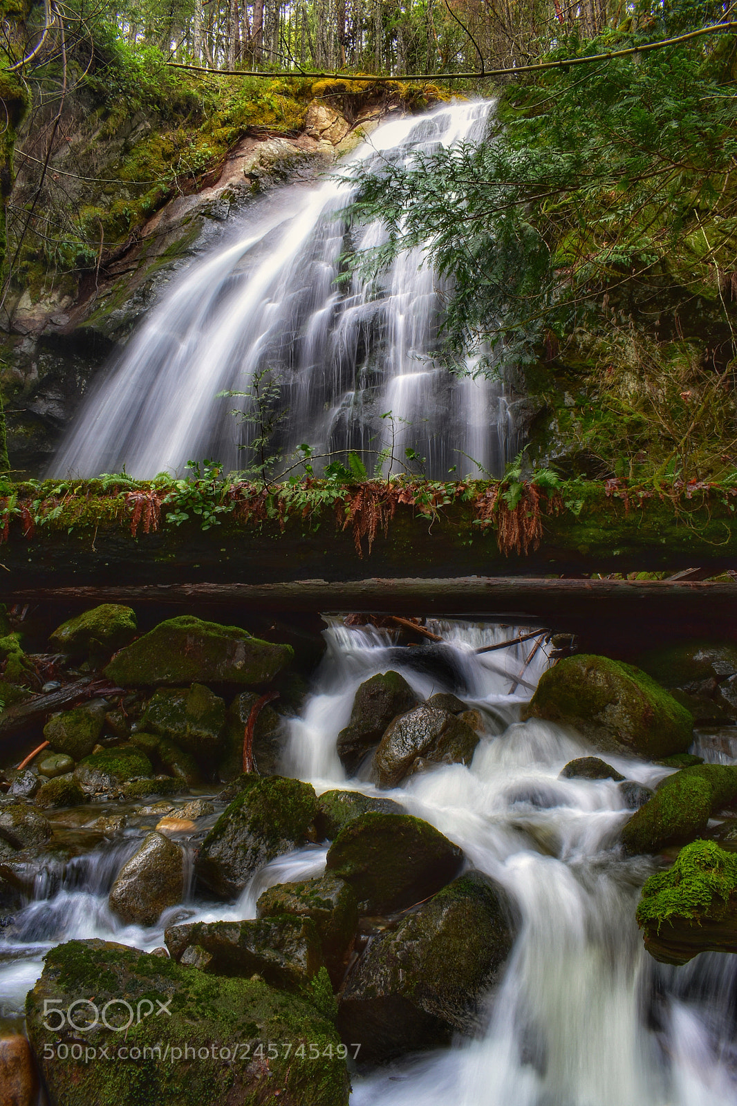 Nikon D3400 sample photo. Christie falls photography