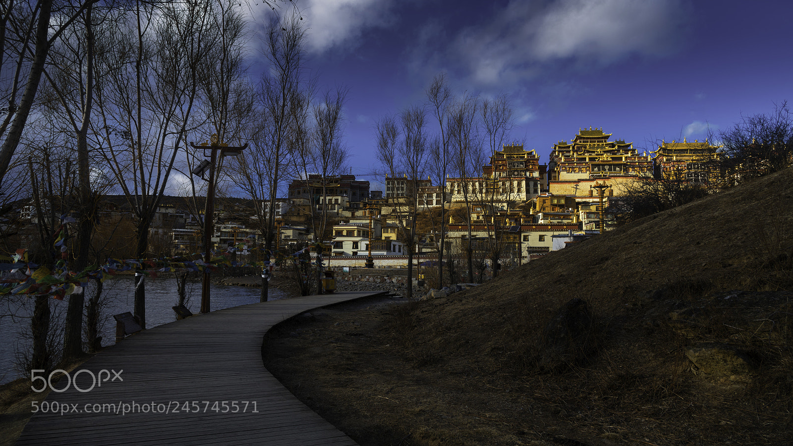 Nikon D850 sample photo. Shangri-la songzanlin monastery, zhongdian photography