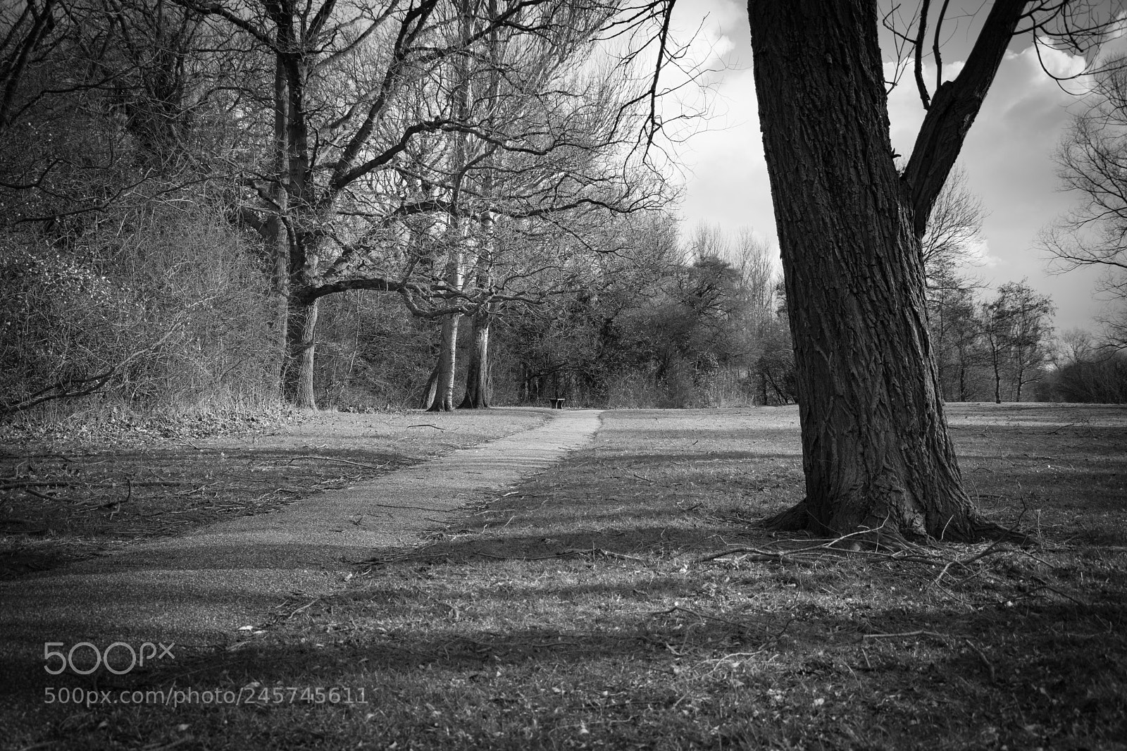 Nikon D7200 sample photo. Teardrop lakes photography