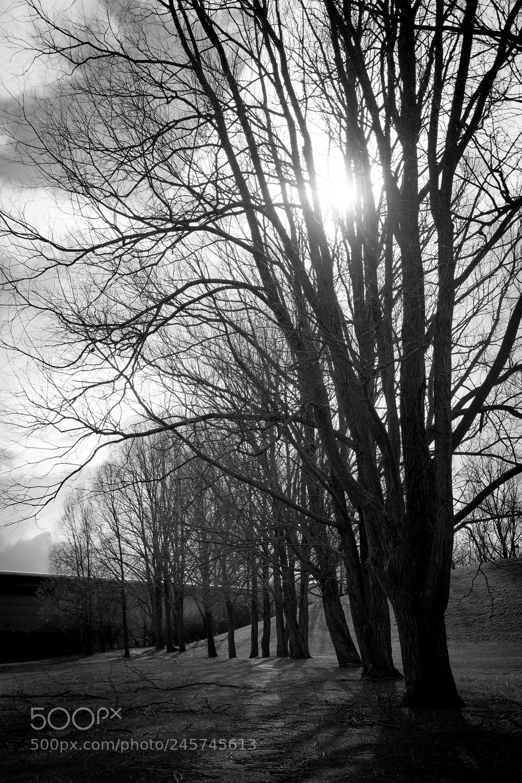 Nikon D7200 sample photo. Teardrop lakes photography