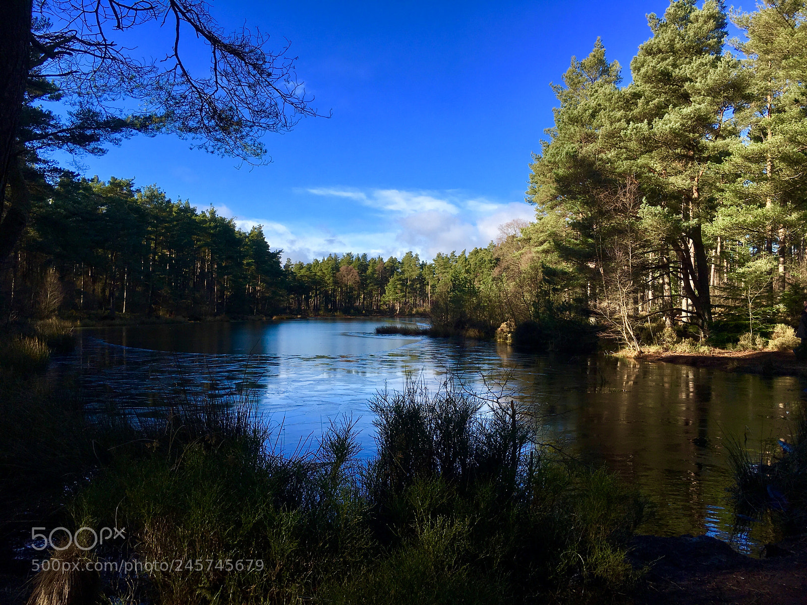 Apple iPhone 6s sample photo. Devilla forest photography