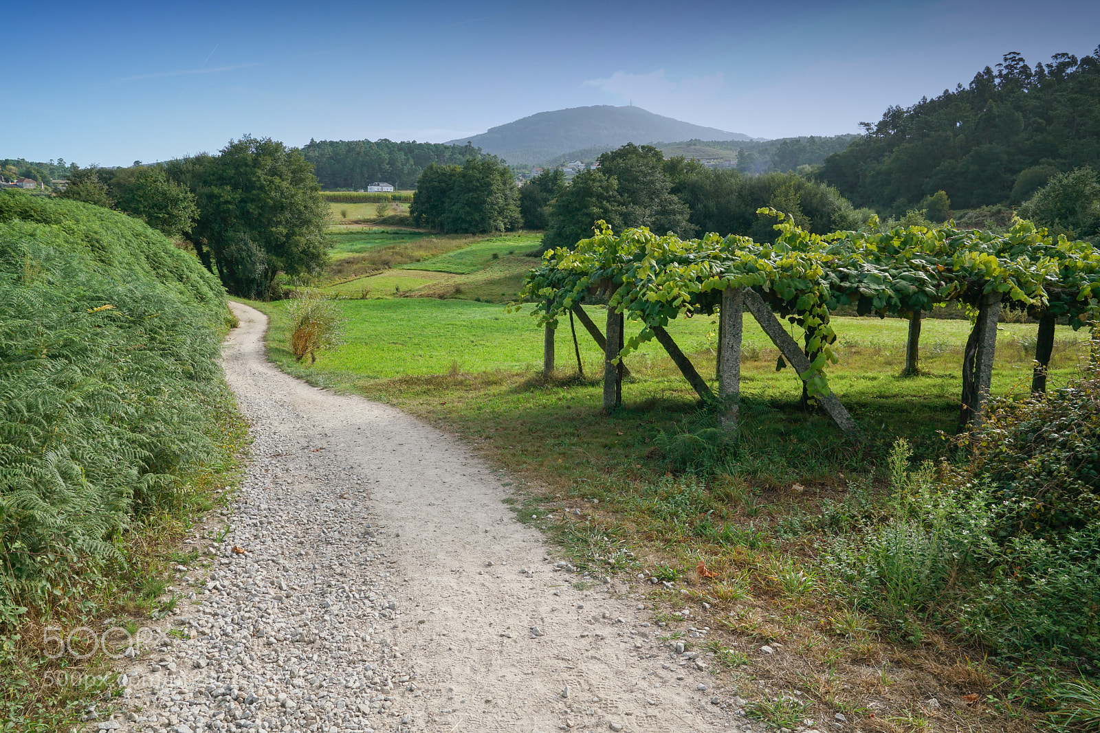 Sony a7R II sample photo. O cruceiro, caldas de photography
