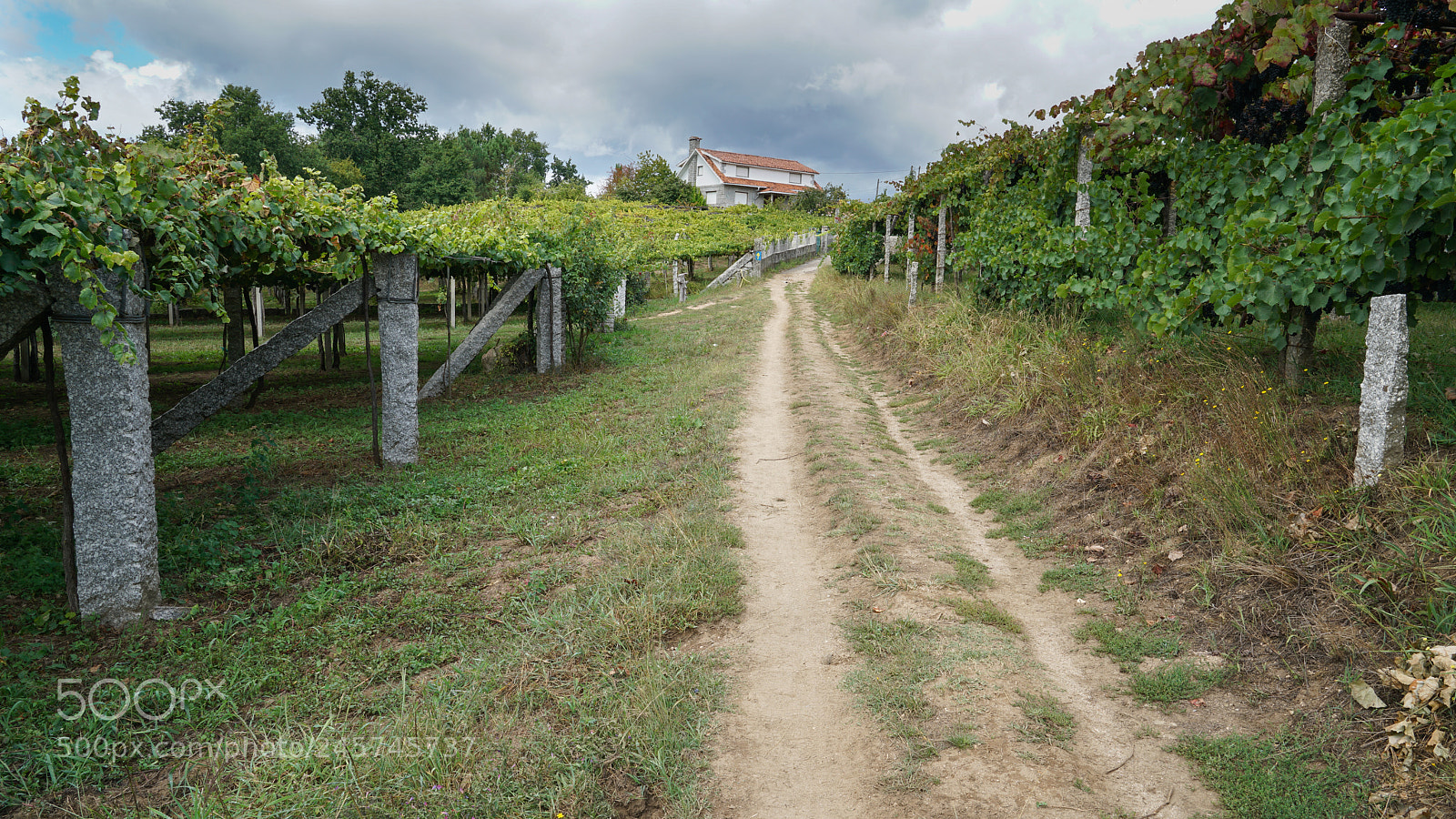 Sony a7R II sample photo. Pilgrim trail, camino de photography