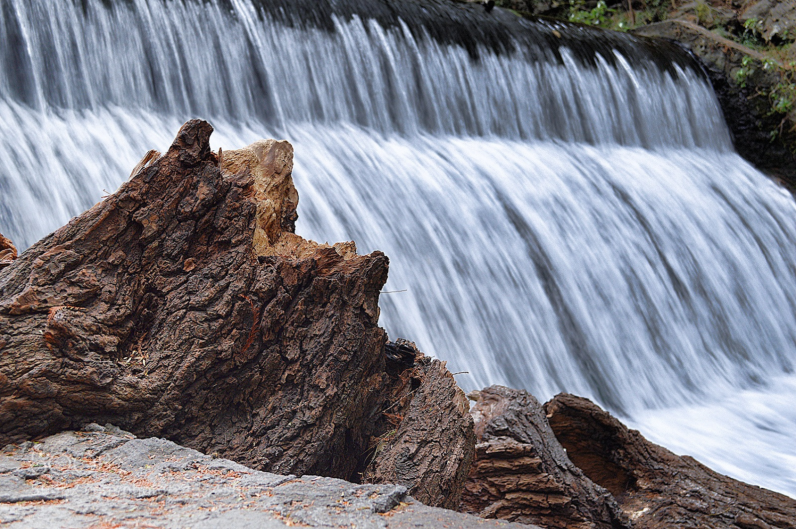 Nikon D3200 sample photo. Untitled photography