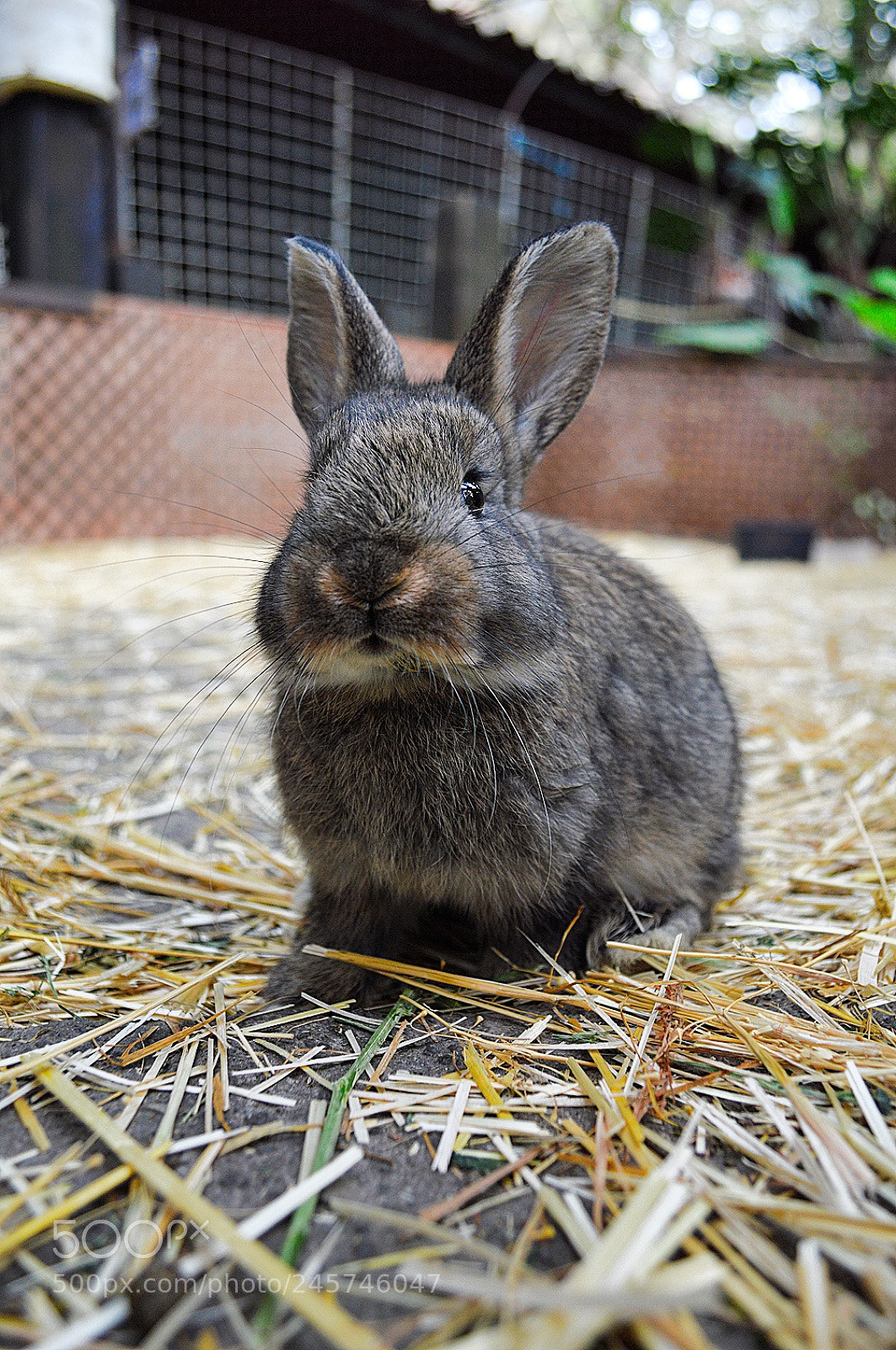Nikon D3200 sample photo. Untitled photography