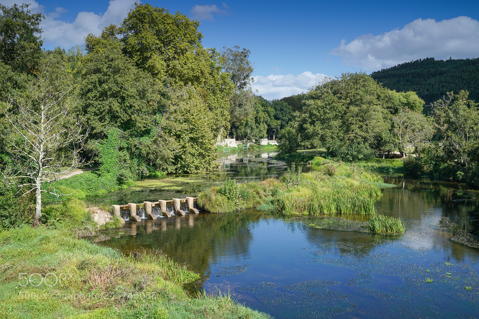 Sony a7R II sample photo. Caldas de reis, galicia photography
