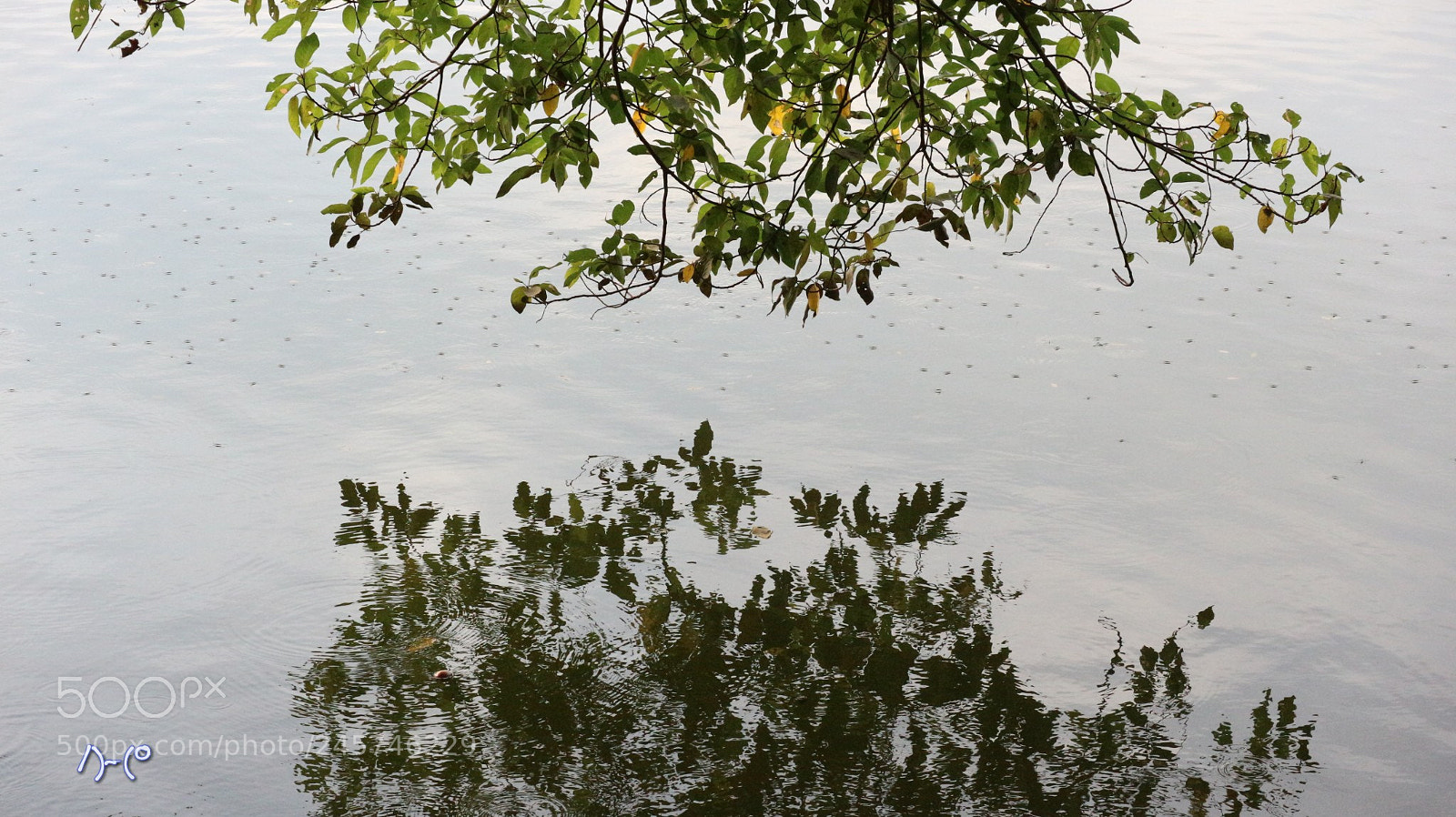 Canon EOS M10 sample photo. Reflection photography