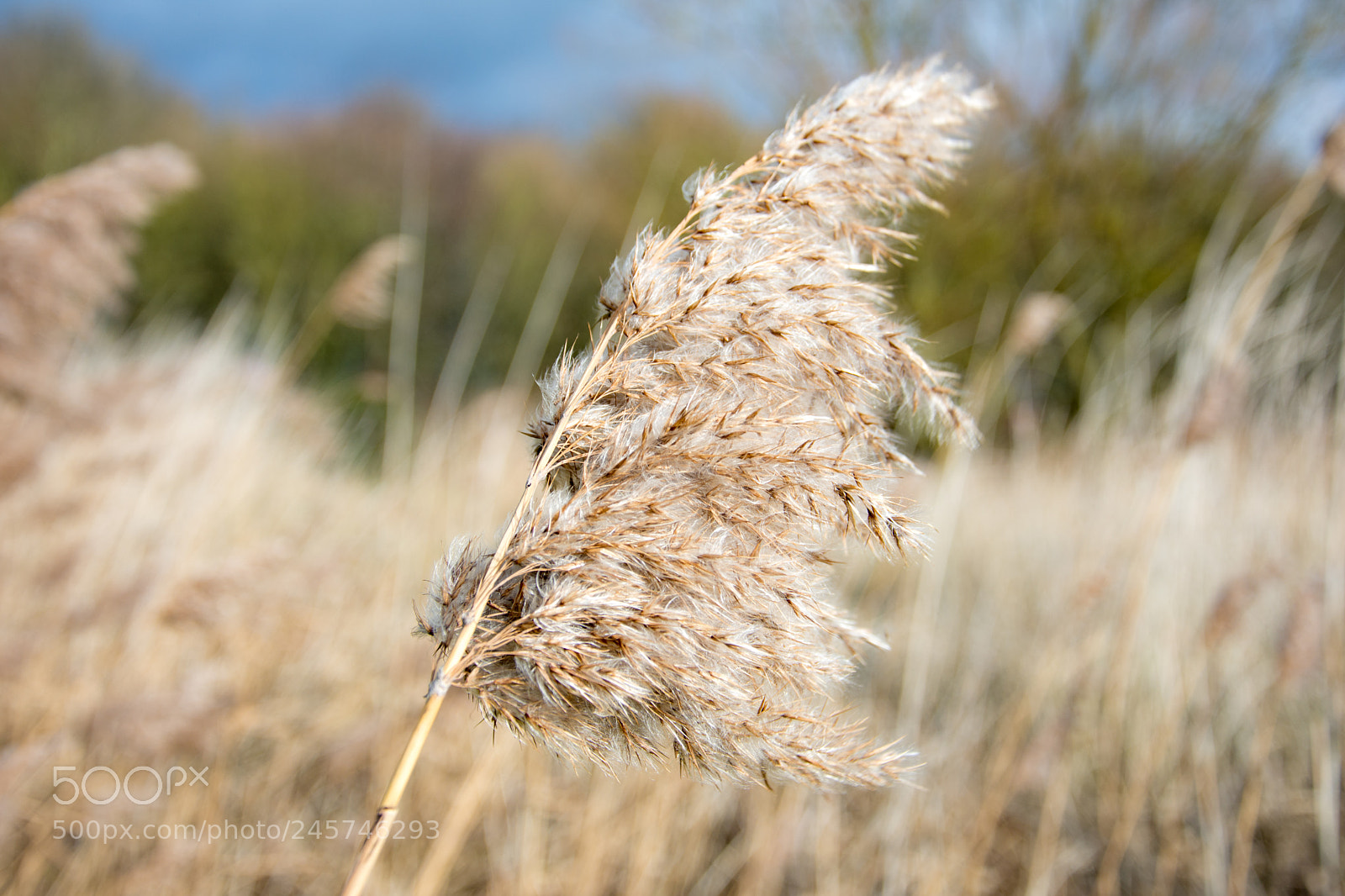 Nikon D7200 sample photo. Teardrop lakes photography