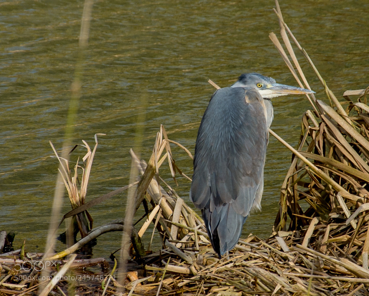 Nikon D7200 sample photo. Teardrop lakes photography
