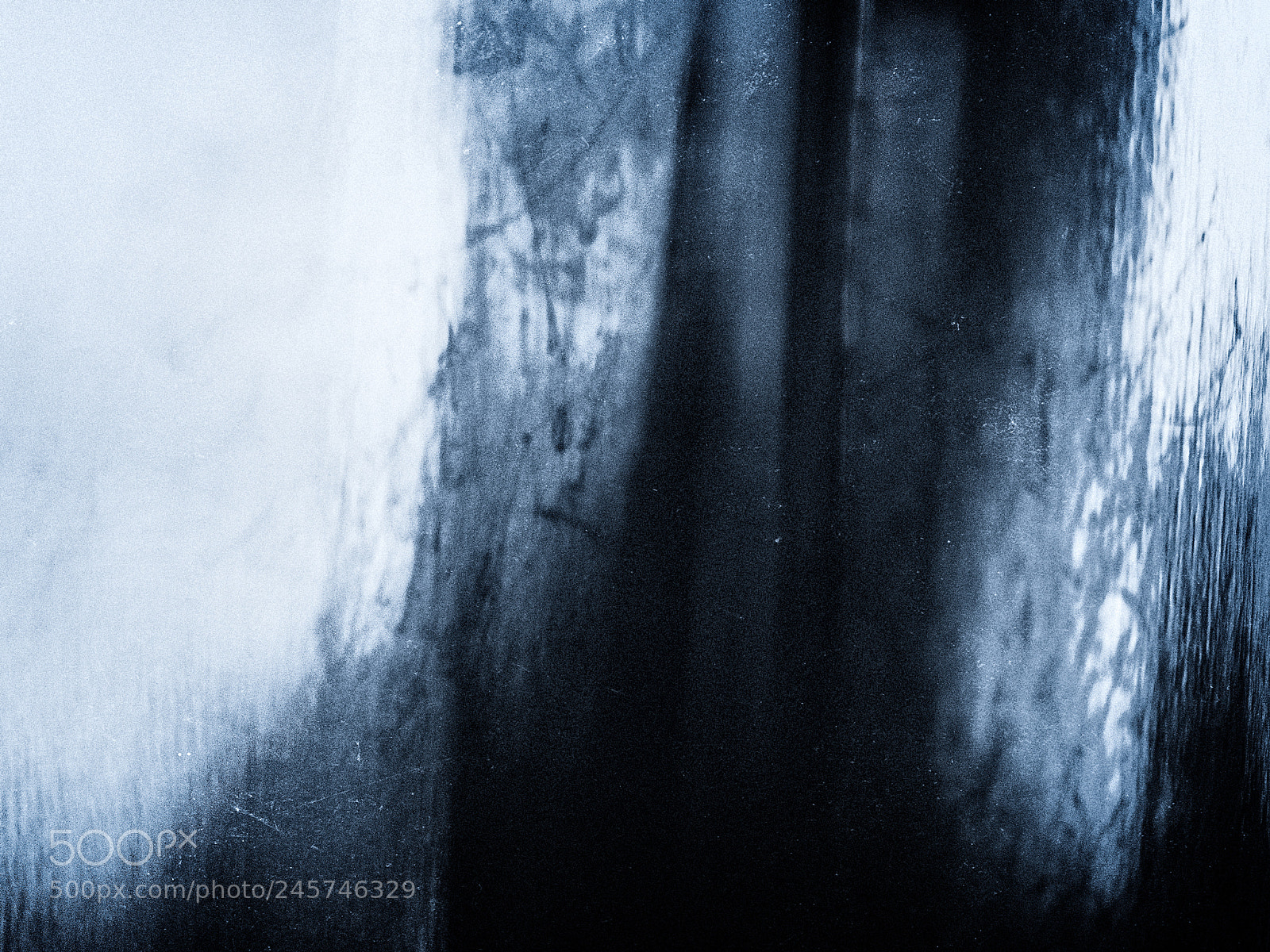 Olympus OM-D E-M5 II sample photo. Blue veins photography