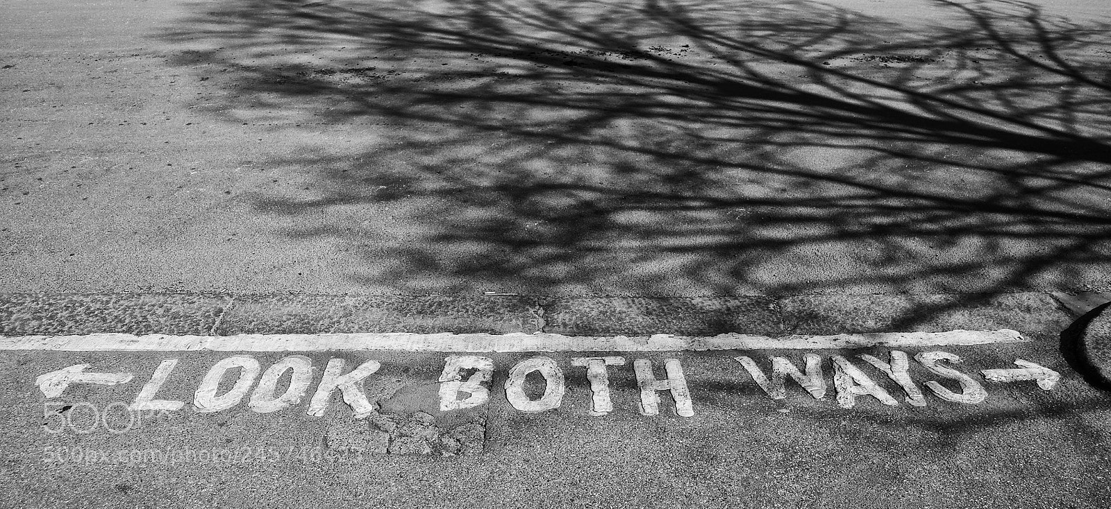Nikon D300 sample photo. Path of life photography