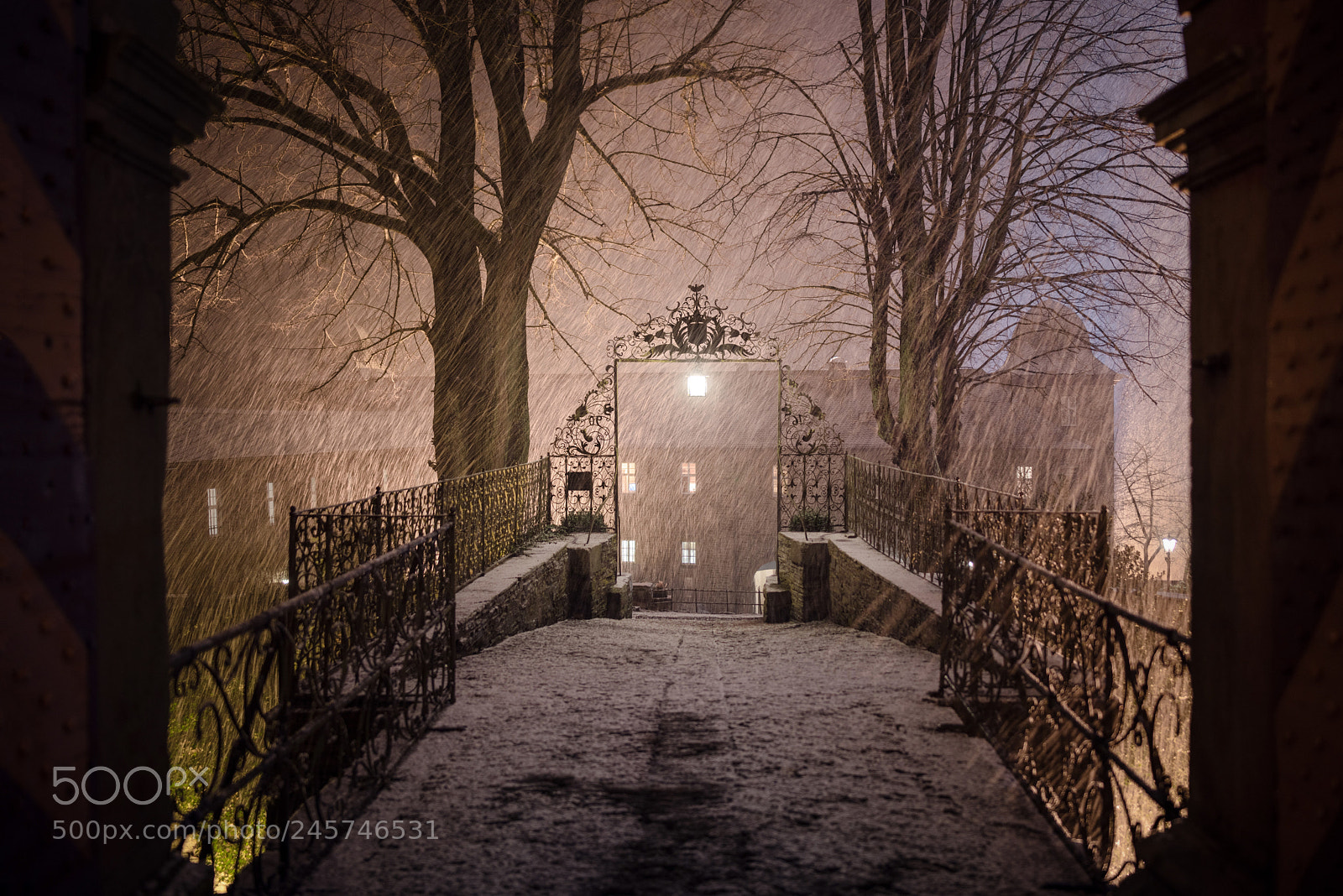 Nikon D810 sample photo. Winter photography