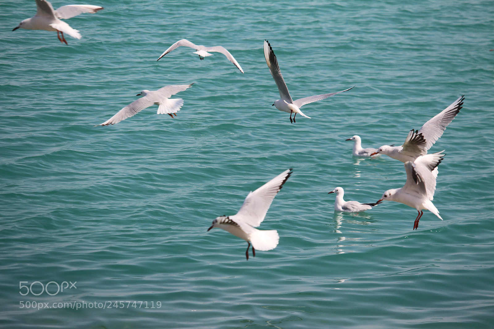 Canon EOS 700D (EOS Rebel T5i / EOS Kiss X7i) sample photo. Departure photography