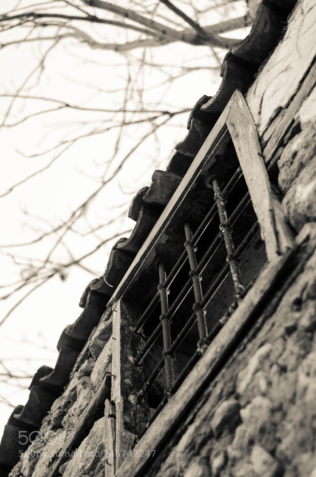 Nikon D5100 sample photo. Untitled photography