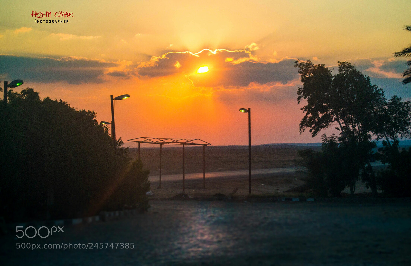 Nikon D3100 sample photo. Untitled photography