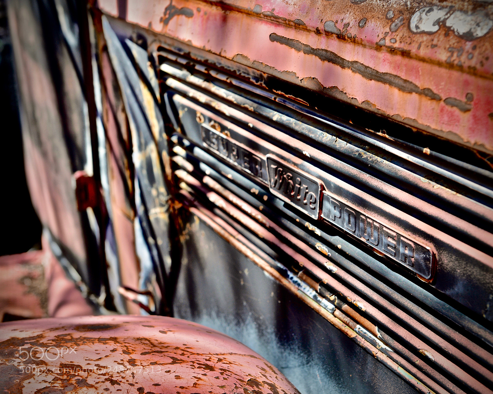 Nikon D610 sample photo. Super shady photography