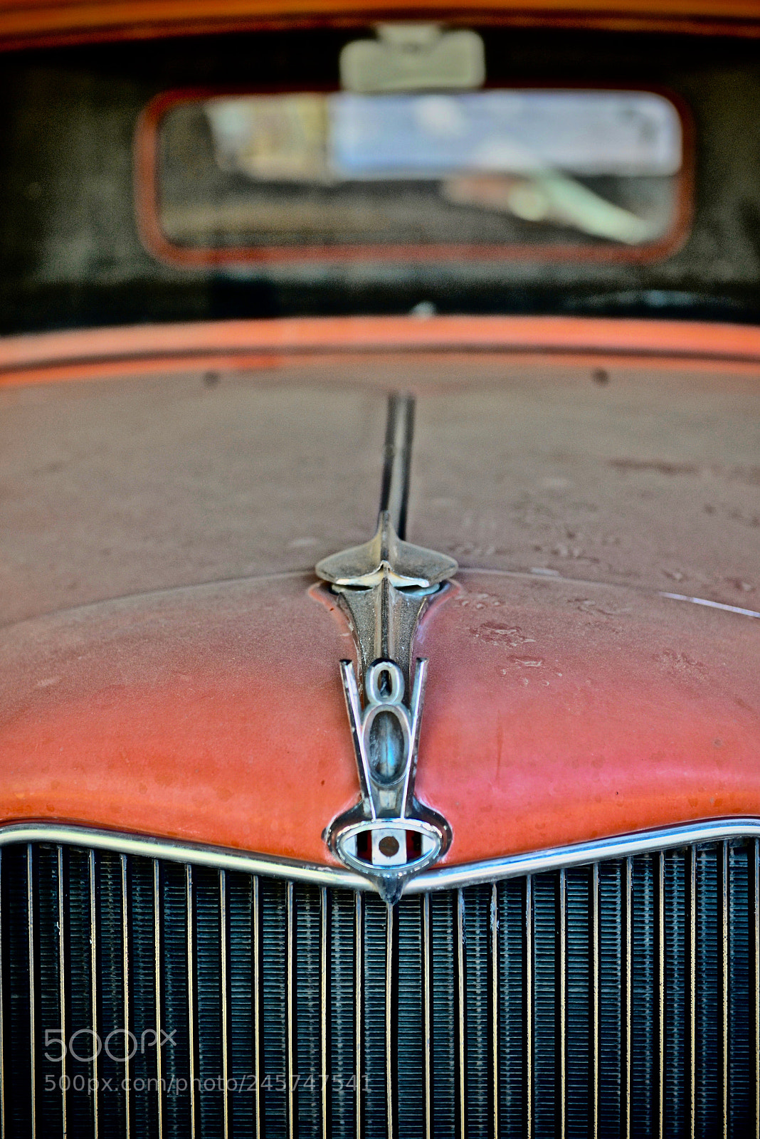 Nikon D610 sample photo. Light dusting required photography