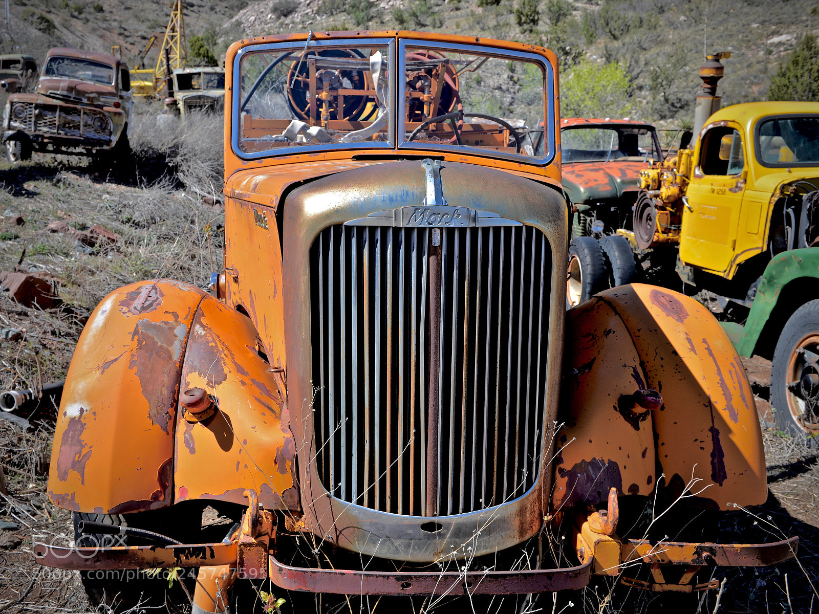 Nikon D610 sample photo. Boneyard buddies photography