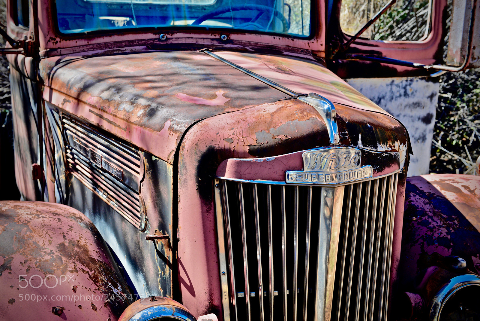 Nikon D610 sample photo. Light rust condition photography