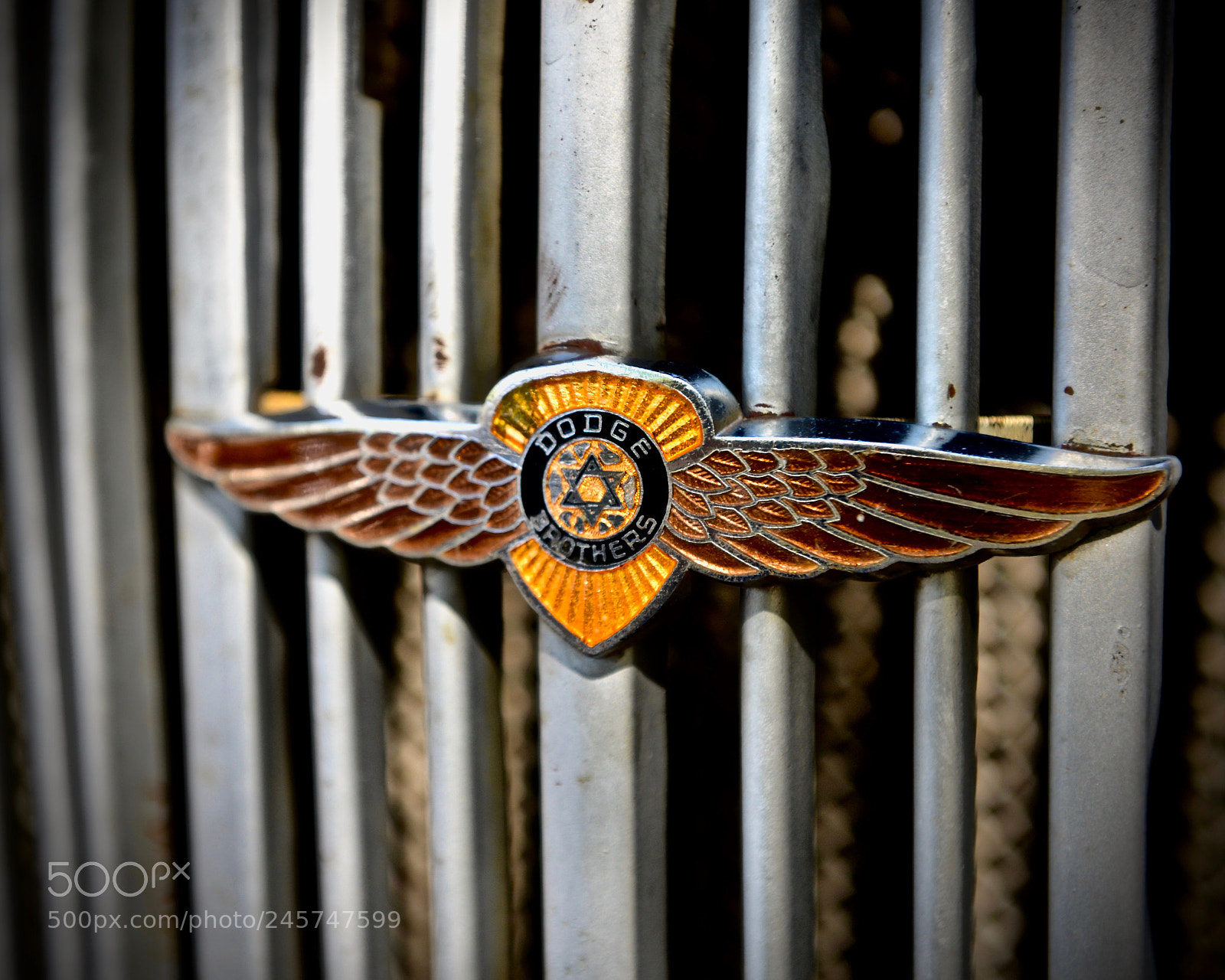 Nikon D610 sample photo. Winging it photography