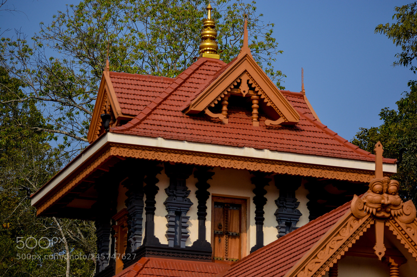 Nikon D5200 sample photo. Monarchy photography